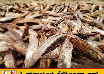 கருவாடு கிலோ விலை 4,000 வரை அதிகரிப்பு