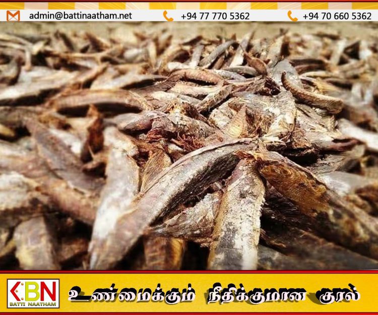 கருவாடு கிலோ விலை 4,000 வரை அதிகரிப்பு