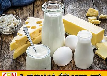 பால்மா, பால் மற்றும் யோகட் விலைகள் அதிகரிக்கப்படவில்லை