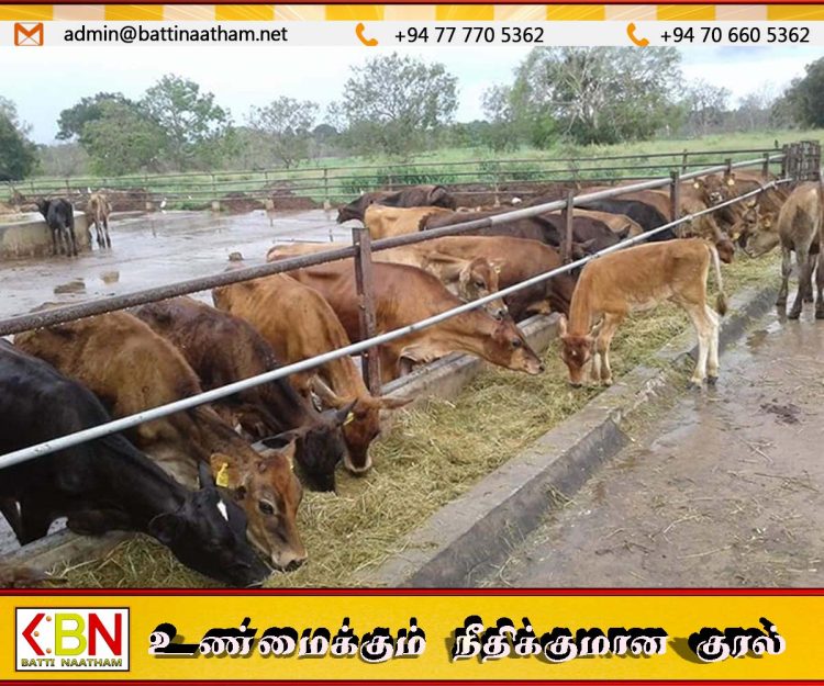 கால்நடைப் பண்ணைகளுக்கு புதிய காப்புறுதித் திட்டம்