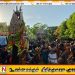 மாமாங்கேஸ்வரர் ஆலய “தேர்” திருவிழா; விண்ணைப் பிளந்த பல்லாயிரக்கணக்கானபக்தர்களின் அரோகரா கோஷம்!