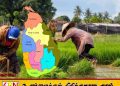 நெல்லின் விலையை அதிகரிக்காமல் விளைச்சலில் அளவை அதிகரிக்க அரசு திட்டம்