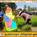 நெல்லின் விலையை அதிகரிக்காமல் விளைச்சலில் அளவை அதிகரிக்க அரசு திட்டம்