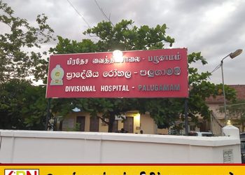 மட்டு கொக்கட்டிச்சோலையில் நீர் நிரப்பிய வாளிக்குள் தவறி விழுந்து 2 வயது குழந்தை உயிரிழப்பு!