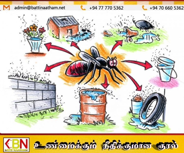 டெங்கு அபாயம் இன்னும் நீங்கவில்லை; சுற்றுச்சூழலில் அவதானமாக இருக்குமாறு எச்சரிக்கை!