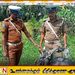 தலைக்கவசமின்றி அதிவேகமாக பயணித்த மோட்டார் சைக்கிள் விபத்து; ஒருவர் பலி!