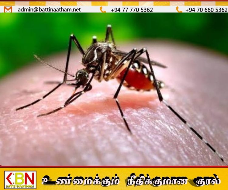 இந்த ஆண்டில் 97,637 டெங்கு நோயாளர்கள் பதிவு; 74 பேர் உயிரிழப்பு!