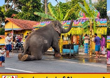 மட்டக்களப்பு களுதாவளை பிள்ளையார் ஆலயத்தில் மெய்சிலிர்க்க வைத்த சம்பவம்!