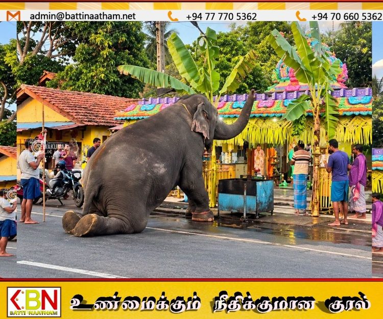 மட்டக்களப்பு களுதாவளை பிள்ளையார் ஆலயத்தில் மெய்சிலிர்க்க வைத்த சம்பவம்!