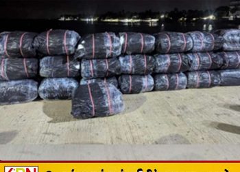 சட்டவிரோத பீடி இலைகள் கடற்படையினரால் மீட்பு!