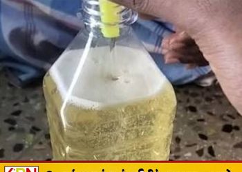 பொதியிடப்படாத தேங்காய் எண்ணெய் விற்பனைக்கு தடை?