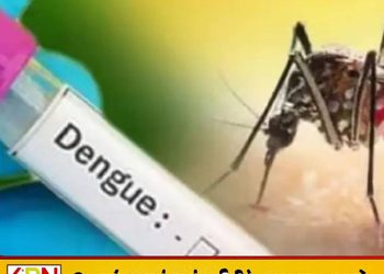 இலங்கையில் டெங்கு பாதிப்பு ஒரு லட்சத்தை கடந்தது!