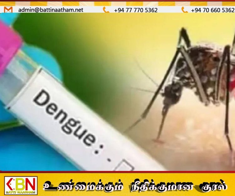 இலங்கையில் டெங்கு பாதிப்பு ஒரு லட்சத்தை கடந்தது!