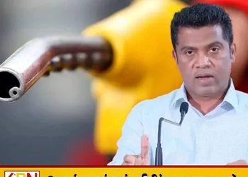 தனியார் நிறுவனங்களின் பங்களிப்பு அவசியம்; எரிபொருள் விநியோகம் குறித்து அமைச்சர்