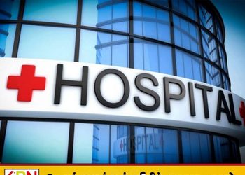 வட்டவளையில் குளவி கொட்டுக்கு இலக்கான ஐவர் வைத்தியசாலையில்!