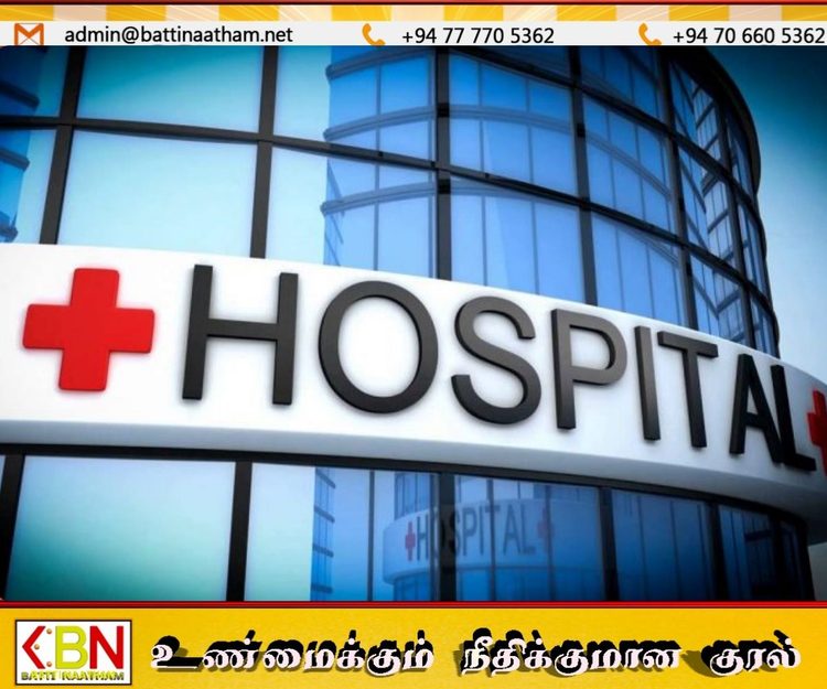 வட்டவளையில் குளவி கொட்டுக்கு இலக்கான ஐவர் வைத்தியசாலையில்!