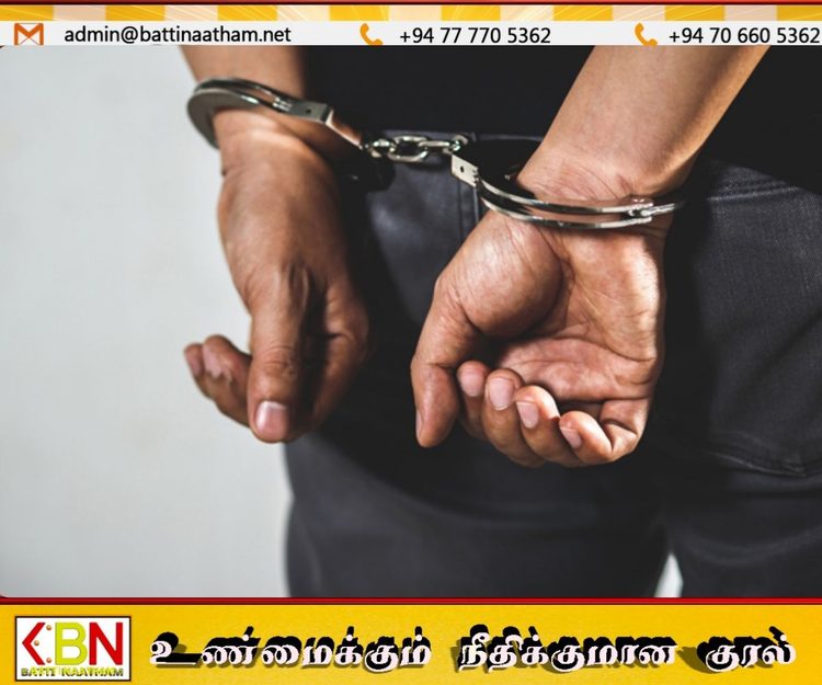 யாழில் இரு கடல் ஆமைகளுடன் ஒருவர் கைது