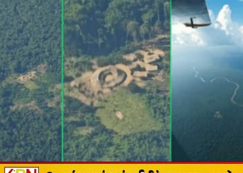 அமேசன் காடுகளின் நடுவே பழங்குடியினர் கிராமம்; வைரலாகும் வீடியோ!