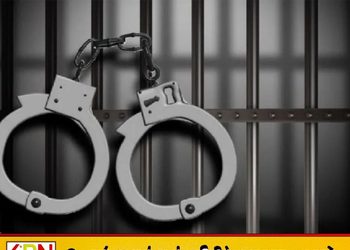 48 கடவுச்சீட்டுகளை வைத்திருந்த நபர் ஒருவர் கைது!