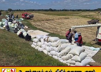 திருகோணமலையில் குறைந்த விலையில் நெல் கொள்வனவு மேற்கொள்ளப்படுவதால் விவசாயிகள் கவலை