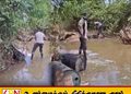 மட்டு கண்டியனாறில் சட்டவிரோத கசிப்பு உற்பத்தி நிலையம் முற்றுகை