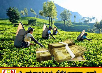 20 வருடங்களாக தோட்ட தொழிலாளர்கள் பெறவேண்டிய கொடுப்பனவு; நாளை முதல்