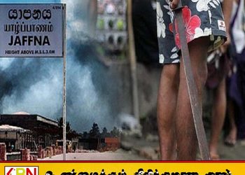 ஊர்காவற்துறை நீதிமன்ற சாட்சி மீது வாள்வெட்டு தாக்குதல்; நால்வர் கைது