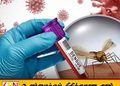 டெங்கு நோயின் அச்சம் அதிகரிப்பு; மரணங்களும் பதிவு
