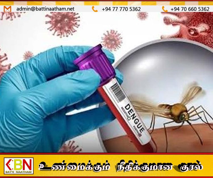 டெங்கு நோயின் அச்சம் அதிகரிப்பு; மரணங்களும் பதிவு