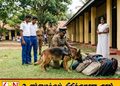 நாடளாவிய ரீதியில் பாடசாலைகளில் சோதனை நடவடிக்கை மேற்கொள்ள தீர்மானம்