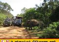 யால தேசிய வனத்தின் இரண்டு வலயங்களுக்கு பூட்டு