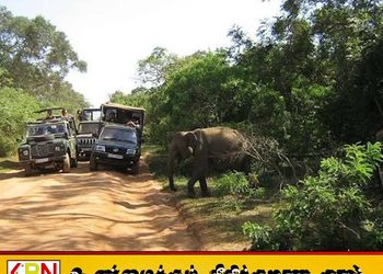 யால தேசிய வனத்தின் இரண்டு வலயங்களுக்கு பூட்டு