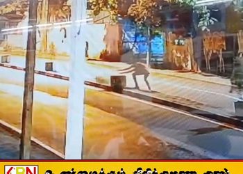 மட்டு நகர் புறத்திலுள்ள பூச்சட்டிகளை சேதப்படுத்தும் நபர்கள்