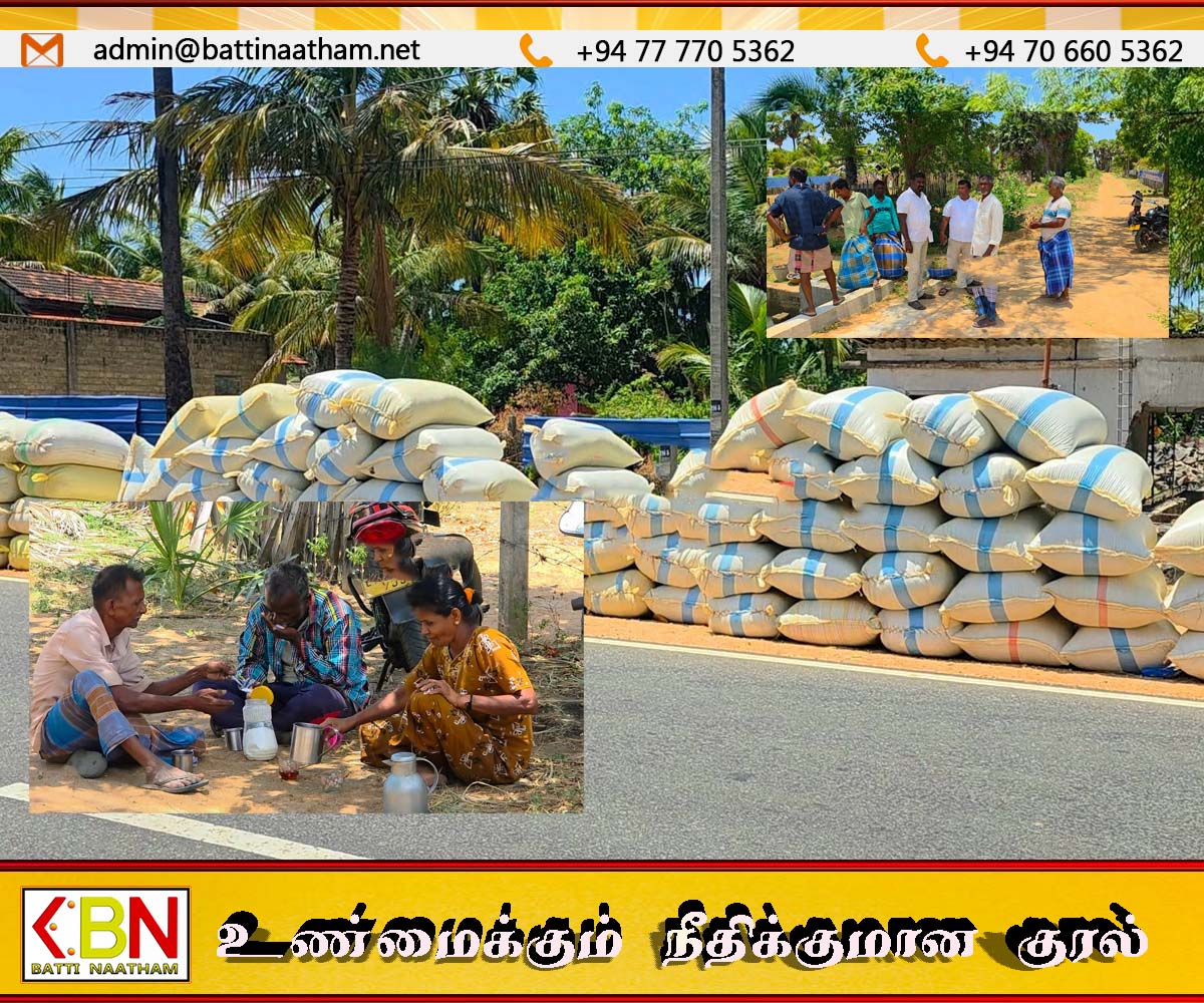 வெருகலில் அறுவடை செய்த நெல்லை கொள்வனவு செய்ய யாரும் முன்வரவில்லை என விவசாயிகள் கவலை