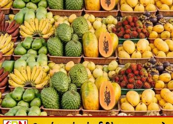 2027 ஏப்ரல் முதல் நச்சுப் பழங்களை விற்பனை செய்தால் கடும் நடவடிக்கை!