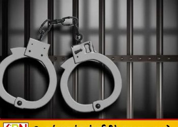 பொருட்களை இறக்குமதி செய்யாமல் ரூ.750 கோடி வெளிநாட்டுக்கு அனுப்பியதாக ஒருவர் கைது!