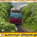 பொல்கஹவெல – பேராதனை இடையே இன்று முதல் புதிய தினசரி ரயில் சேவை ஆரம்பம்!