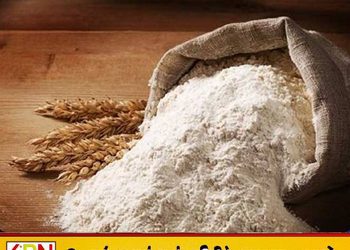 கோதுமை மாவின் விலை கிலோவுக்கு 13 ரூபாவால் அதிகரிப்பு!
