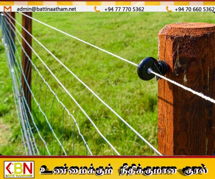 சட்டவிரோத மின்வேலியில் சிக்கி 5 வயது சிறுவன் உட்பட இருவர் பலி!