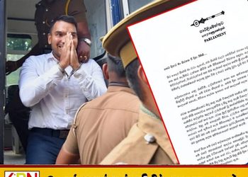 “மக்களுக்கு நிவாரணம் கிடைத்தால் 500 நாட்களும் சிறையில் இருக்கத் தயார்”; நாமல் ராஜபக்ஷ!