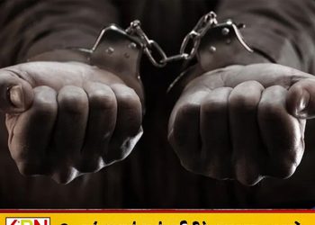 கட்டுநாயக்க விமான நிலையத்தில் ரூ.5.1 கோடி பெறுமதியான ‘குஷ்’ போதைப்பொருளுடன் இந்தியப் பிரஜை கைது!