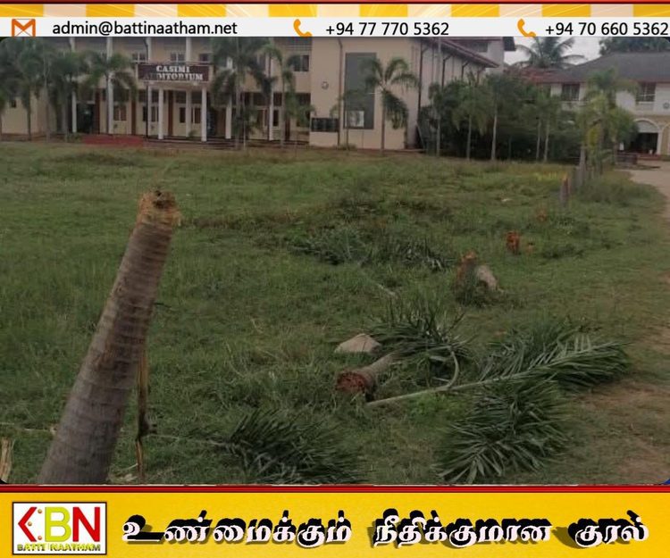 அம்பாறையில் அதிகரிக்கும் காட்டு யானைகளின் அட்டகாசம்; பாடசாலை வளாகத்தில் 15 மரங்கள் சேதம்!