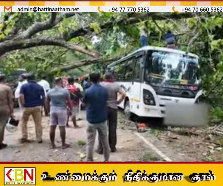 குருணாகலில் திடீரென முறிந்து விழுந்த பாரிய மரம்; 7 வாகனங்கள் சேதம்!