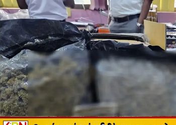 வெளிநாடுகளில் இருந்து தபால் மூலம் வந்த ரூ.6 கோடி போதைப்பொருள்; போலி முகவரிகளால் அம்பலம்!