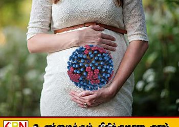 கர்ப்பிணிப் பெண்களுக்கு இன்புளுவென்சா வைரஸ் தொற்றும் அபாயம்