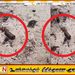 யாழில் வெடிக்காத நிலையில் காணப்பட்ட குண்டு மீட்பு