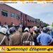 ரயிலில் மோதி வெளிநாட்டுப் பிரஜை உயிரிழப்பு