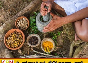 ஆயுர்வேதச் சட்டத்தில் திருத்தம்; அமைச்சரவை அங்கீகாரம்!