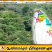 வடக்கு, கிழக்கில் வனப் பகுதிகளாக அறிவிக்கப்பட்ட காணிகள் விடுவிப்பு?; வடக்கில் புதிய வனப் பகுதிகளை அறிவிப்பதற்கும் தற்காலிகத் தடை!