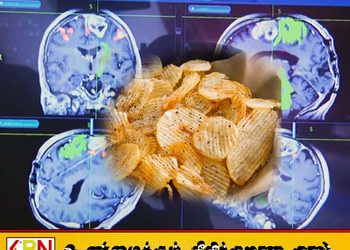 அதிகப் பதப்படுத்தப்பட்ட உணவுகளால் மூளைக்கு ஆபத்து; கனடா ஆய்வு எச்சரிக்கை!